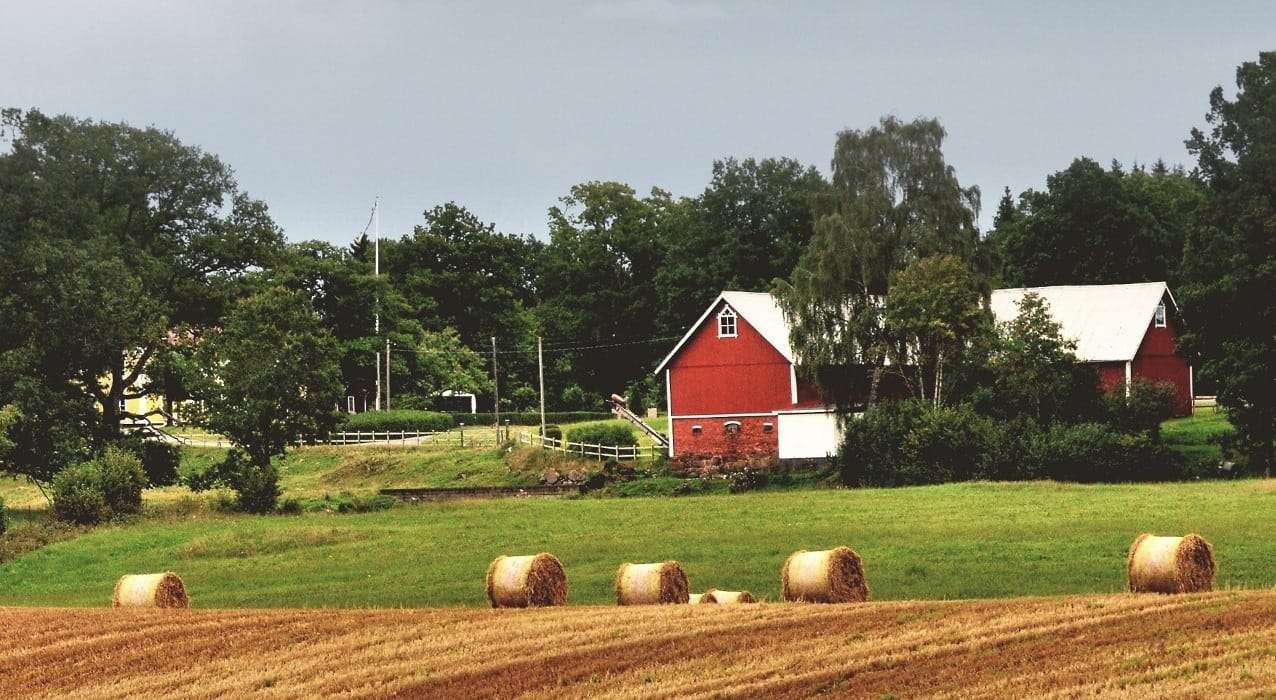 10002 Kontorsstädning